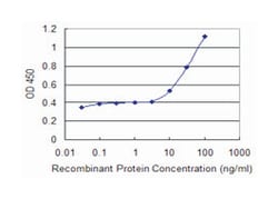 ABCF1, Mouse, Clone: 1B4, Abnova 100&mu;g; Unlabeled:Antibodies, Monoclonal