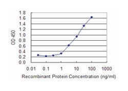 ACAA1, Mouse, Clone: 3F11, Abnova 100&mu;g; Unlabeled:Antibodies, Monoclonal