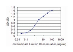 ADCYAP1R1, Mouse, Clone: 2B12, Abnova 100&mu;g; Unlabeled:Antibodies
