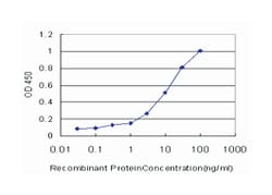 aryl hydrocarbon receptor, Mouse, Clone: 3H4, Abnova&trade;