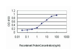 AHSG, Mouse, Clone: 5D8, Abnova 100&mu;g; Unlabeled:Antibodies, Monoclonal