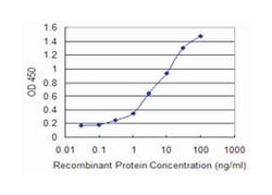 AHSG, Mouse, Clone: 1D8, Abnova 100&mu;g; Unlabeled:Antibodies, Monoclonal