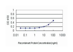 v-akt murine thymoma viral oncogene homolog 1, Mouse, Clone: 2E11, Abnova