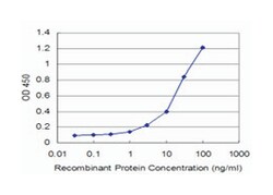 v-akt murine thymoma viral oncogene homolog 2, Mouse, Clone: 1B4, Abnova&trade;