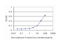 aldehyde dehydrogenase 3 family, memberA1, Mouse, Clone: 2G4, Abnova&trade;