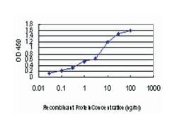 low density lipoprotein receptor-related protein 5, Mouse, Clone: 1E9,