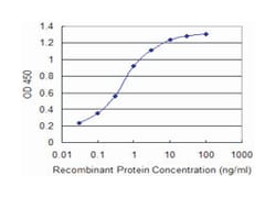 amelogenin (amelogenesis imperfecta 1, X-linked), Mouse, Clone: 3B5, Abnova&trade;