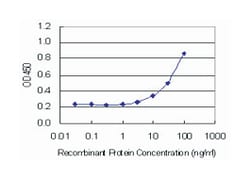 angiogenin, ribonuclease, RNase A family, 5, Mouse, Clone: 2A7, Abnova&trade;