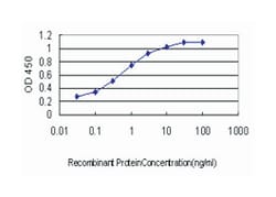 baculoviral IAP repeat-containing 5, Mouse, Clone: 5B10, Abnova 100&mu;g;
