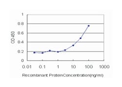 TRIM23, Mouse, Clone: 3E8, Abnova 100&mu;g; Unlabeled:Antikörper