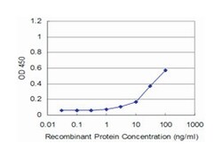 ras homolog gene family, member A, Mouse, Clone: 1B12, Abnova&trade;