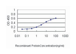 ADP-ribosylation factor 5, Mouse, Clone: 1B4, Abnova 100&mu;g; Unlabeled:Antibodies,