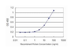 ARG2, Mouse, Clone: 3D10, Abnova&trade;