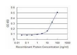RHOC, Mouse, Clone: 2E12, Abnova 100&mu;g; Unlabeled:Antibodies, Monoclonal