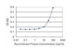 RHOC, Mouse, Clone: 1B7, Abnova 100&mu;g; Unlabeled:Antibodies, Monoclonal