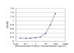 RHOG, Mouse, Clone: 2E6, Abnova 100&mu;g; Unlabeled:Antibodies, Monoclonal
