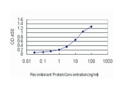 Rho GDP dissociation inhibitor (GDI) alpha, Mouse, Clone: 1E12-2G11, Abnova