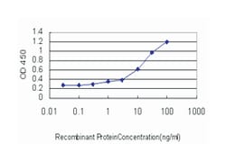 ASCL1, Mouse, Clone: 1C5, Abnova 100&mu;g; Unlabeled:Antibodies, Monoclonal