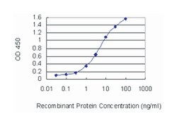 ATOH1, Mouse, Clone: 1B12, Abnova 100&mu;g; Unlabeled:Antibodies, Monoclonal