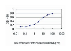 ATOX1, Mouse, Clone: 2E6, Abnova 100&mu;g; Unlabeled:Antibodies, Monoclonal