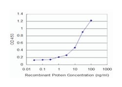 BMP5 (M82), Mouse anti-Human, Clone: 1G6, Abnova 100 &mu;g | Buy Online | Abnova | Fisher Scientific