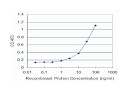 BMP5, Mouse, Clone: 2E8, Abnova&trade;
