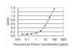 BMP2, Mouse, Clone: 3G7, Abnova 100&mu;g; Unlabeled:Antibodies, Monoclonal