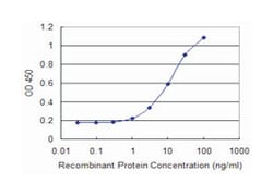 BMP5, Mouse, Clone: 1C1, Abnova 100&mu;g; Unlabeled:Antibodies, Monoclonal