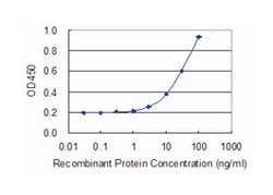 C5R1, Mouse, Clone: 4E2, Abnova 100&mu;g; Unlabeled:Antibodies, Monoclonal