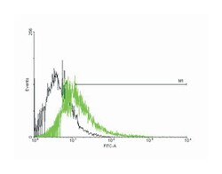 calcium channel, voltage-dependent, gamma subunit 1, Mouse, Purified MaxPab