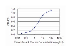 CAST, Mouse, Clone: 2C5, Abnova 100&mu;g; Unlabeled:Anticorps, Monoclonal