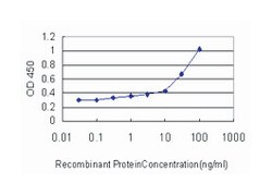 runt-related transcription factor 2, Mouse, Clone: 4D5, Abnova 100&mu;g;