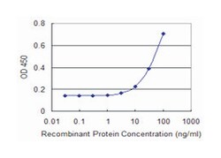 DLX3, Mouse, Clone: 3F7, Abnova 100&mu;g; Unlabeled:Antibodies, Monoclonal