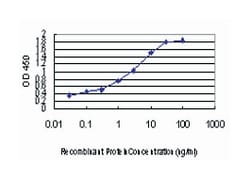 phospholipase D2, Mouse, Clone: 1C5, Abnova&trade;