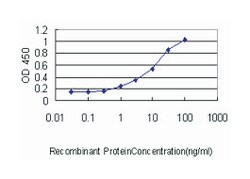 CAPG (M01), Mouse anti-Human, Clone: 1F1, Abnova 100&mu;g; Unlabeled:Antibodies,