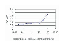 RUNX2, Mouse, Clone: 1D2, Abnova 100 &mu;g | Buy Online | Abnova | Fisher Scientific