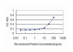 RUNX2, Mouse, Clone: 4C8, Abnova 100&mu;g; Unlabeled:Antibodies, Monoclonal