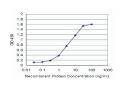 RUNX2, Mouse, Clone: 6E1, Abnova 100&mu;g; Unlabeled:Antibodies, Monoclonal