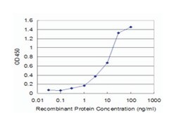 CD19, Mouse, Clone: 1C9, Abnova 100&mu;g; Unlabeled:Antibodies, Monoclonal