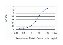 CDS1, Mouse, Clone: 2D10, Abnova 100 &mu;g | Buy Online | Abnova Corporation | Fisher Scientific