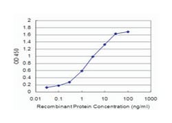 CHML, Mouse, Clone: 5G4, Abnova 100&mu;g; Unlabeled:Antibodies, Monoclonal