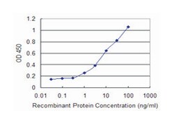 CHRNE, Mouse, Clone: 1H5, Abnova 100&mu;g; Unlabeled:Antibodies, Monoclonal