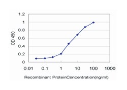 CDC28 protein kinase regulatory subunit 2, Mouse, Clone: 2G12-2A5, Abnova
