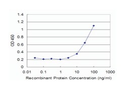 CREB1, Mouse, Clone: 2B2, Abnova 100&mu;g; Unlabeled:Antikörper