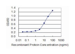 corticotropin releasing hormone, Mouse, Clone: 2B11, Abnova 100&mu;g; Unlabeled:Antibodies,