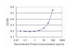 CRMP1, Mouse, Clone: 2B6, Abnova 100&mu;g; Unlabeled:Antibodies, Monoclonal