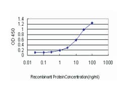 CSE1 chromosome segregation 1-like (yeast), Mouse, Clone: 2C10, Abnova 100 &mu;g | Buy Online | Abnova Corporation | Fisher Scientific