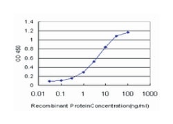 NKX2-5, Mouse, Clone: S1, Abnova 100&mu;g; Unlabeled:Antibodies, Monoclonal