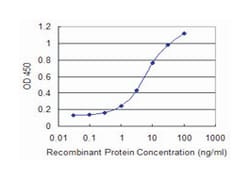 DAP, Mouse, Clone: 3C5, Abnova 100&mu;g; Unlabeled:Antibodies, Monoclonal