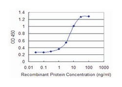 muscleblind-like (Drosophila), Mouse, Clone: 1D11, Abnova 100&mu;g; Unlabeled:Antibodies,